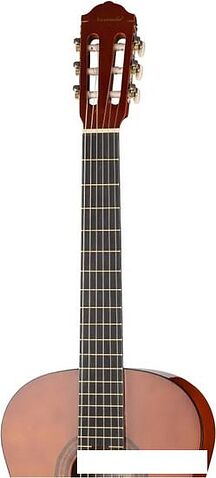 Акустическая гитара Naranda CG120-4/4