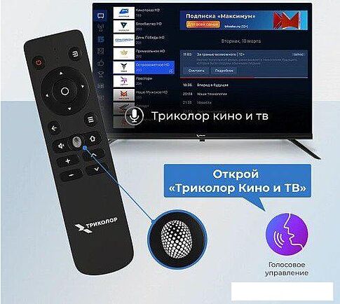 Телевизор Триколор P24HH302