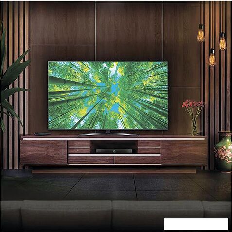 Телевизор LG UQ81 65UQ81009LC