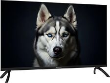 Телевизор Topdevice 32" WILDRED TDWC32BF2110V
