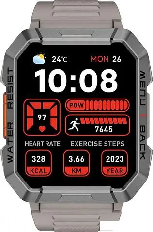 Умные часы Blackview W60 (серый)