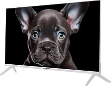 Телевизор Topdevice 32" FHD OS SALUTE TV (белый)