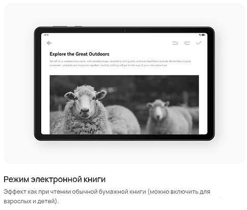 Планшет Huawei MatePad SE 10.4" AGS5-L09 3GB/32GB LTE (графитовый черный)