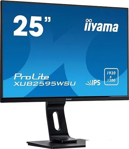 Монитор Iiyama ProLite XUB2595WSU-B1