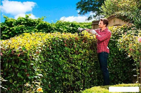 Кусторез Ryobi RHT5655RS