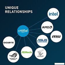 Оперативная память Crucial 16ГБ DDR5 5600 МГц CT16G56C46U5T Оперативная память Crucial 16ГБ DDR5 5600 МГц CT16G56C46U5T
