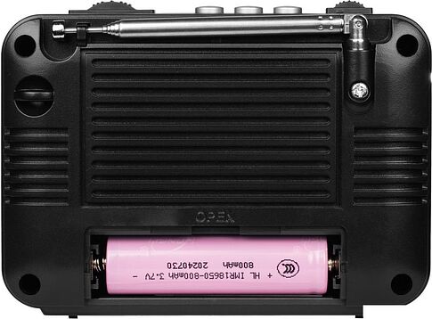 Радиоприемник Ritmix RPR-161