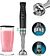 Погружной блендер Cecotec Katana 15 TotalDestroy Jar B