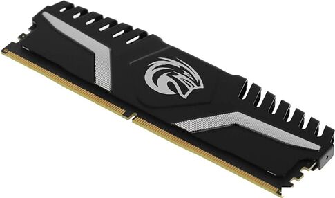 Оперативная память KingSpec Storm 8ГБ DDR5 4800 МГц KS4800D5M11016G