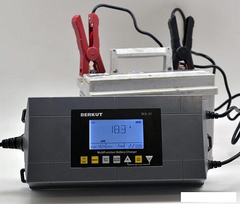Зарядное устройство Беркут BCA-25