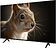 Телевизор Topdevice 43" SALUTE TV TDWC43BF4260V