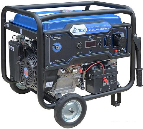 Бензиновый генератор ТСС SGG 8000EHNA