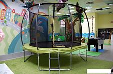 Батут Atlas Sport 312 см - 10ft Master (с лестницей, зеленый) Батут Atlas Sport 312 см - 10ft Master (с лестницей, зеленый)