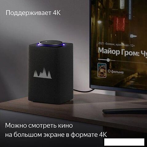 Умная колонка Яндекс Станция Макс (с хабом умного дома Zigbee, графит)