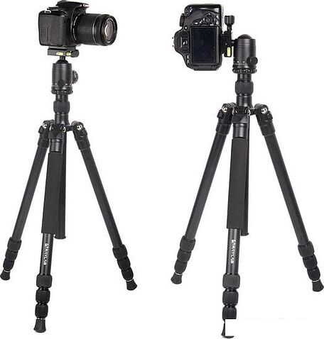 Трипод Raylab Pro 75 (с головой)