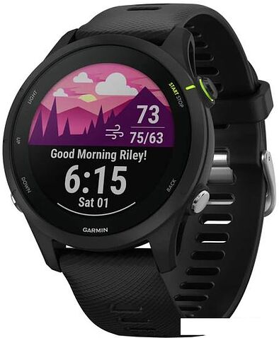 Умные часы Garmin Forerunner 255 Music 46 мм (черный)