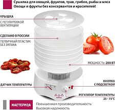 Сушилка для овощей и фруктов Мастерица EFD-0602VM (6 белых поддонов + 2 прозрачных поддона + поддон для пастилы) Сушилка для овощей и фруктов Мастерица EFD-0602VM (6 белых поддонов + 2 прозрачных поддона + поддон для пастилы)