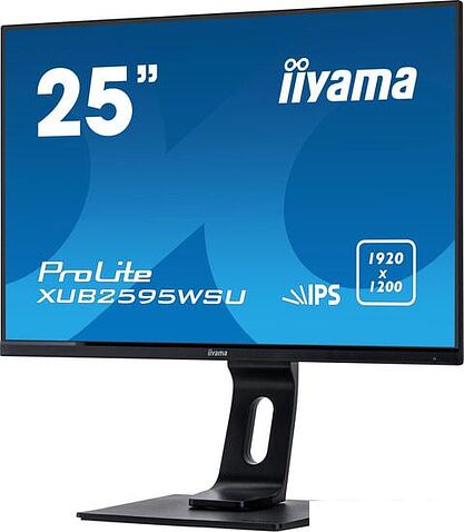 Монитор Iiyama ProLite XUB2595WSU-B1