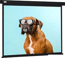 Проекционный экран CACTUS Wallscreen 183x244 CS-PSW-183X244-BK Проекционный экран CACTUS Wallscreen 183x244 CS-PSW-183X244-BK