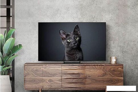 OLED телевизор Samsung OLED 4K S90C QE65S90CAUXRU