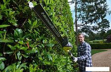 Высоторез Ryobi OPT1845 (без АКБ)