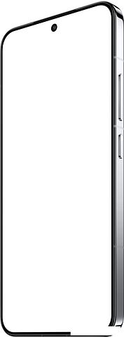 Телефон Xiaomi 15 12GB/256GB международная версия (серебристый)