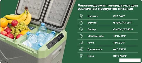 Компрессорный автохолодильник Artelv ARD 40L 32.1л (серый/зеленый)