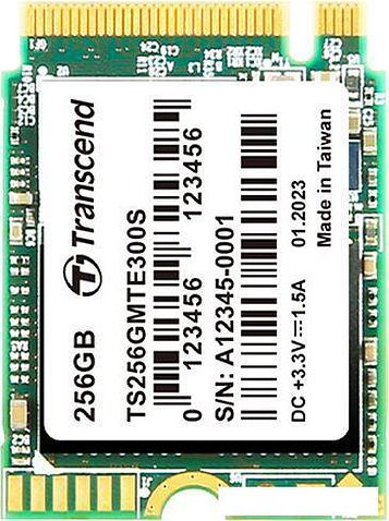 SSD Transcend 300S 256GB TS256GMTE300S