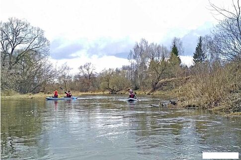 Надувная лодка Вольный ветер Ермак 260 (серый)