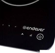 Настольная плита Endever Skyline IP-49