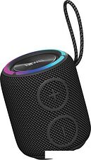 Беспроводная колонка Aiwa PAS-H100 (черный)