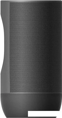Беспроводная аудиосистема Sonos Move