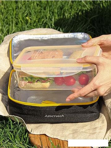 Термосумка Арктика 020-2000-1 (черный)