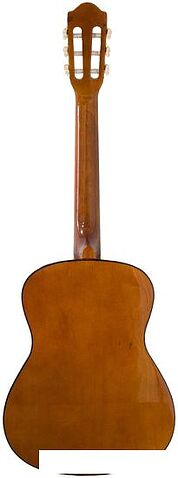 Акустическая гитара Fabio FB3610 SB