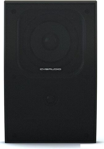 Пассивная акустика CVGaudio WPA10TBL