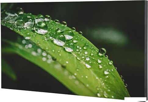 Дисплей для видеостен Dahua LS550KDM-UF