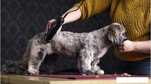 Машинка для стрижки  Moser Max 45 1245-0077