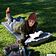 Спальный мешок Naturehike CNK2300DZ014 D01 6976023923395 (серый)
