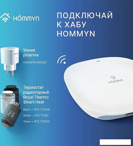 Умная розетка Hommyn Smart Plug RKNZ01