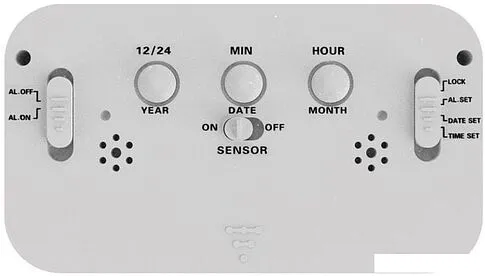 Радиочасы Ritmix CAT-100 (белый)