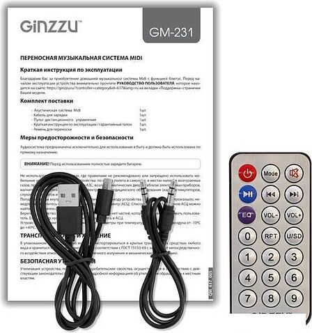 Беспроводная колонка Ginzzu GM-231