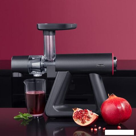 Соковыжималка Rondell RDE-1503