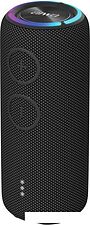 Беспроводная колонка Aiwa PAS-H300 (черный)