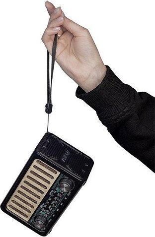 Радиоприемник Ritmix RPR-020