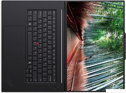 Рабочая станция Lenovo ThinkPad P1 Gen 8 21Q80026US