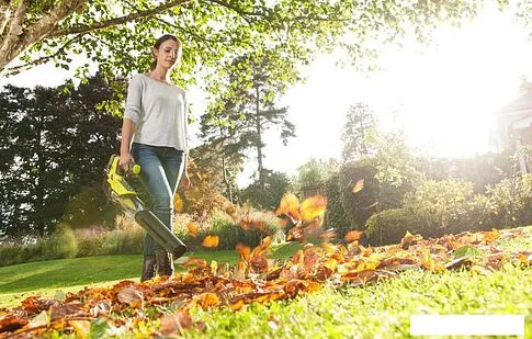 Воздуходувка Ryobi OBL18JB (без АКБ)