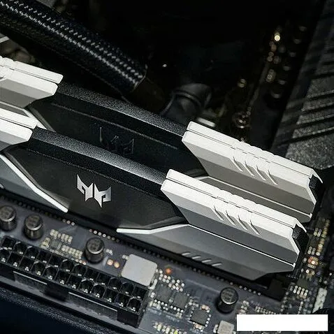 Оперативная память Acer Predator Talos 2x8ГБ DDR4 3000 МГц BL.9BWWR.211