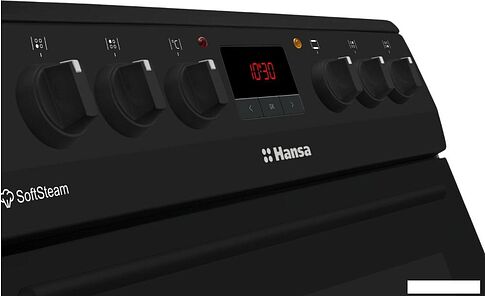 Кухонная плита Hansa FCCM69225H