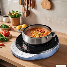 Настольная плита Endever Skyline IP-70 Настольная плита Endever Skyline IP-70