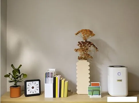 Очиститель воздуха Karcher AF 20 1.024-820.0